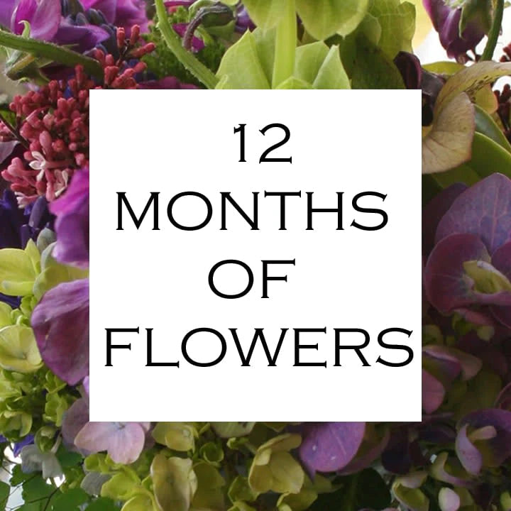 12 Months of Flowers