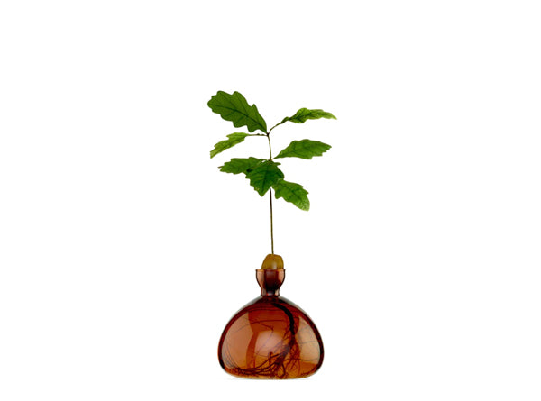 Acorn Vase  - Russet Brown