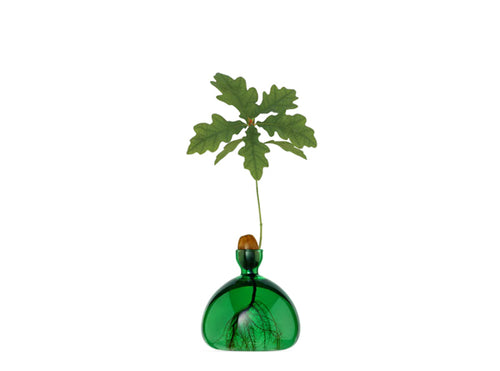 Acorn Vase - Emerald
