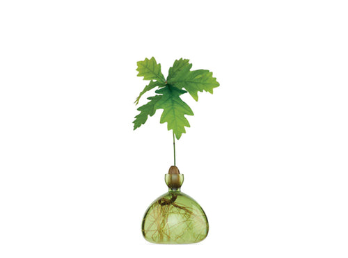Acorn Vase - Grass Green