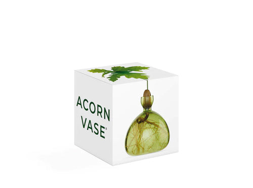 Acorn Vase - Grass Green