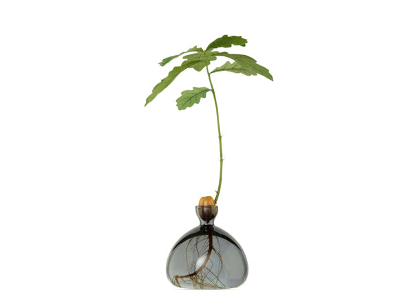 Avocado Vase - Grey