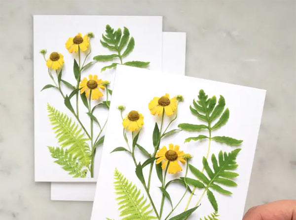 Note Card - Ferns and Helenium