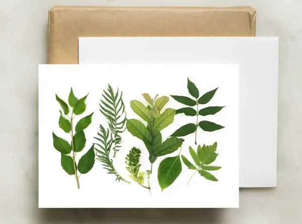 Note Card - Green Leaves of Summer