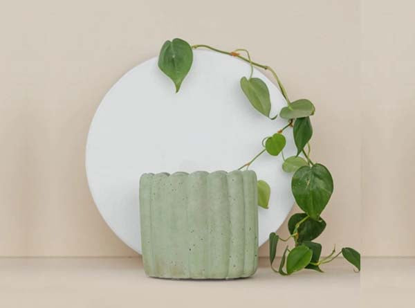 Scallop Planter- 4.5" Green