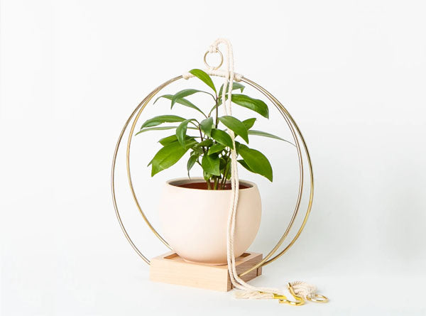 Plant Hanger - Small