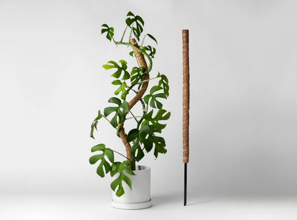 24" Coco Coir Bendable Plant Support Pole