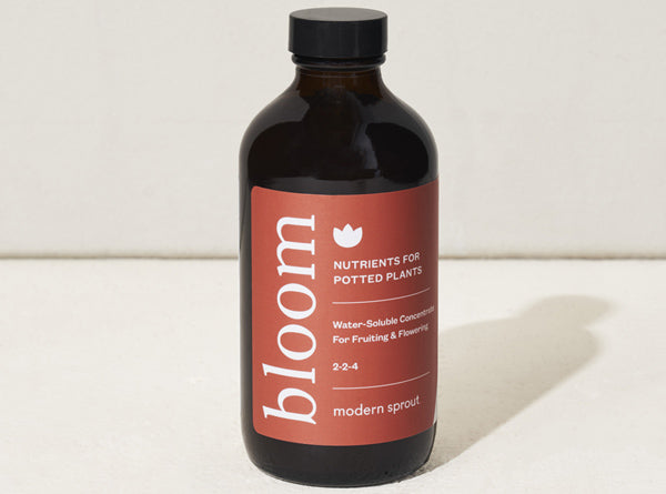 Modern Sprout Bloom - 8oz
