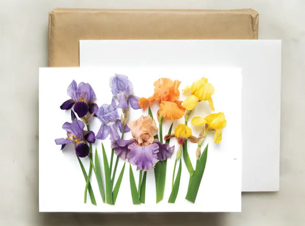 Note Card - Irises