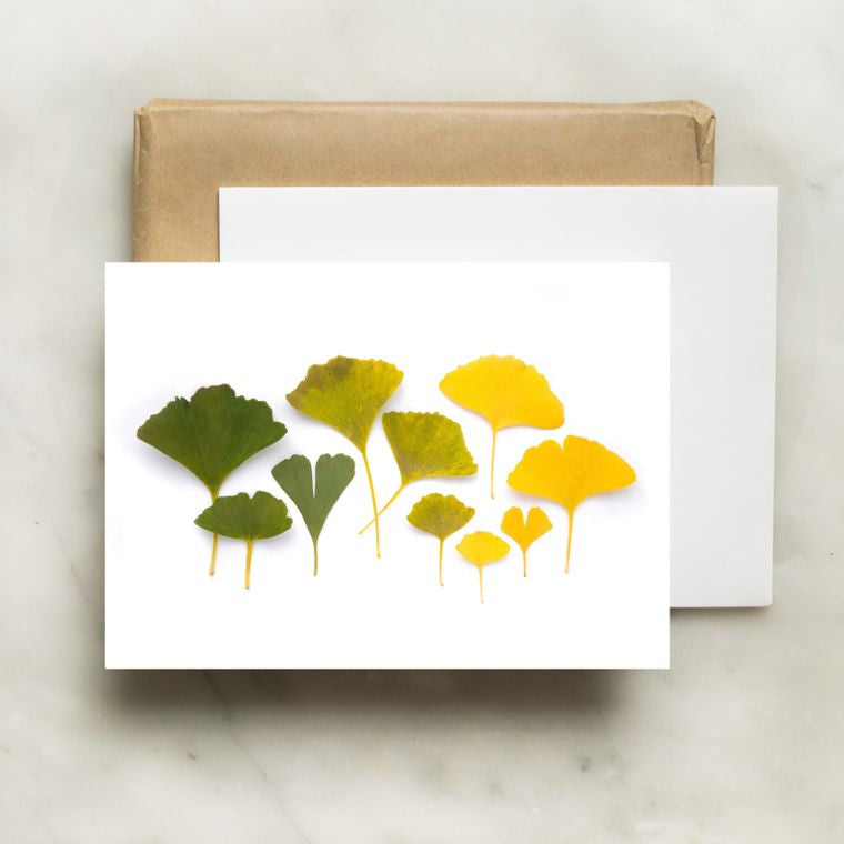Note Card - Ginko Leaves