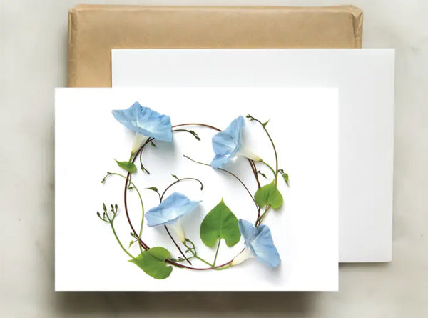 Note Card - Morning Glory