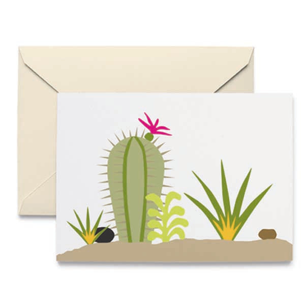 Succulents Note Cards - Box of 10